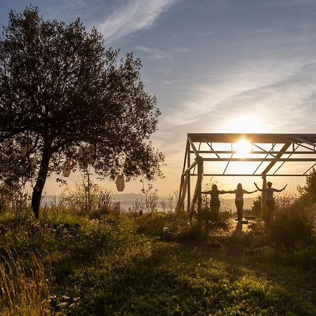 פיניקונטה Chamaloni Cottages מראה חיצוני תמונה