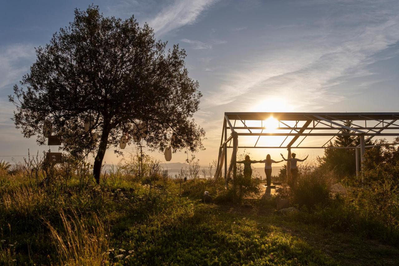 פיניקונטה Chamaloni Cottages מראה חיצוני תמונה